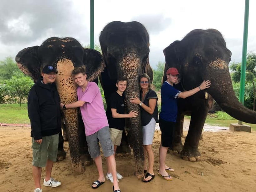 Jaipur: Elephant Interaction Tour - Elephant washing and shower: why late afternoon feels best