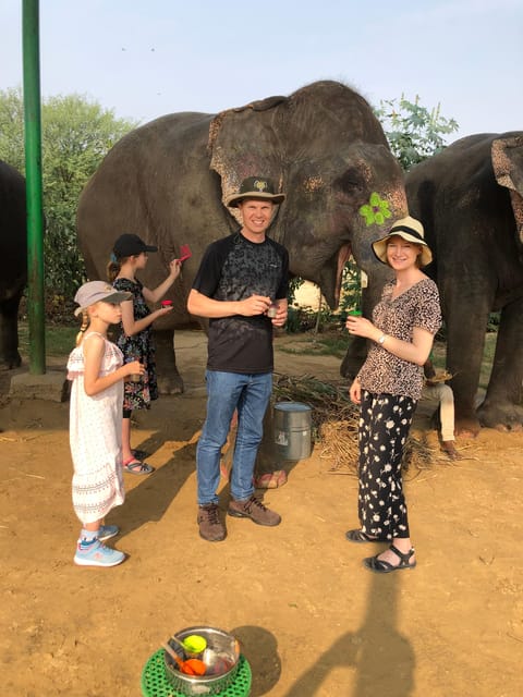 Jaipur: Elephant Interaction Tour - Safety and welfare: what to look for during the day