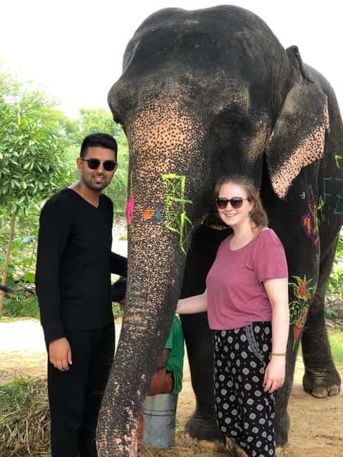 Jaipur: Elephant Interaction Tour - Price and value: what $58 buys you in Jaipur