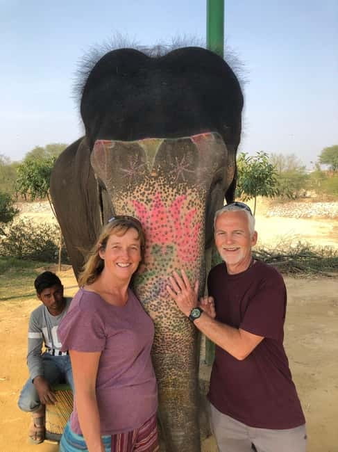 Jaipur: Elephant Interaction Tour - Meeting the elephants first: trust before you touch anything