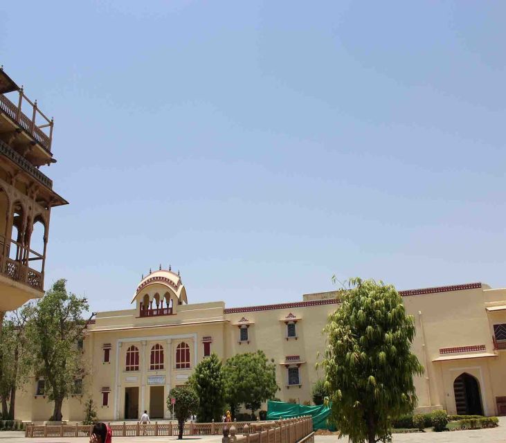 Jaipur: Full-Day City Tour with Camel Ride and Monkey Temple - 8 AM pickup and a smart “see-more” route through Jaipur