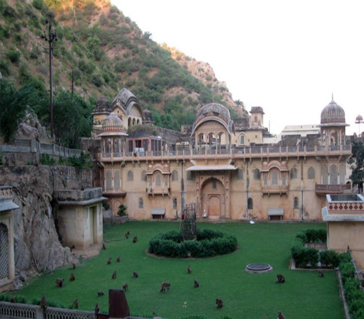 Jaipur: Full-Day City Tour with Camel Ride and Monkey Temple - Amber Fort: gates, courtyards, and why the design matters