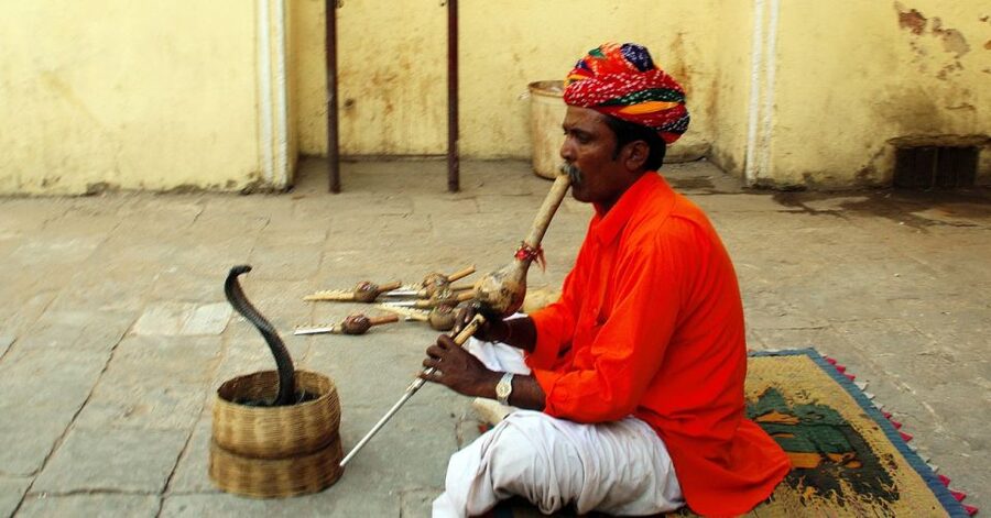 Jaipur: Full-Day Private City Tour by Car with Guide - City Palace: courtyards, museums, and the royal “logic”