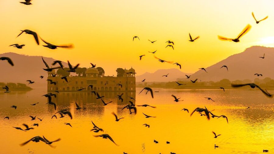 Jaipur: Full-Day Private Sightseeing Tour by Tuk Tuk - Panna Meena ka Kund: A Quick Stop With a Stepwell-Perfect Vibe
