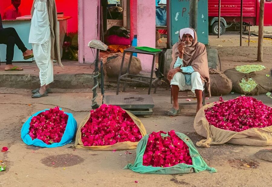 Jaipur: Half-Day Guided Sightseeing Tour with Flower Market - Starting in the flower market lanes (7:00 AM)