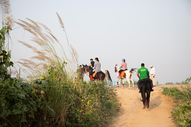 Jaipur Horse Riding Adventure - Marwari horses and the Aravalli trails you’re really riding
