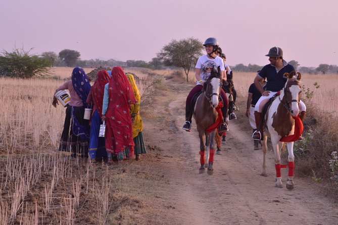 Jaipur Horse Riding Adventure - A note on polo add-ons and birthday-level service