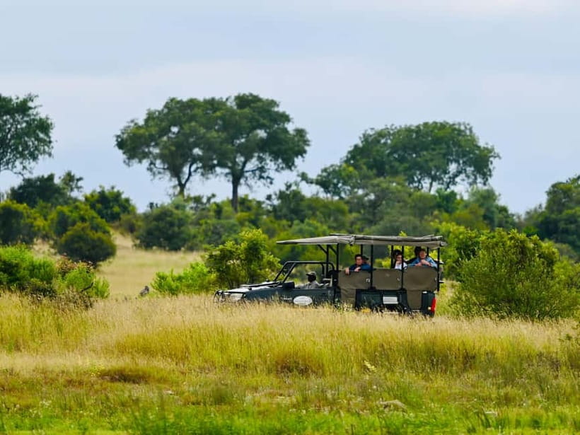 Jaipur: Jhalana Amagarh Leopard Reserve 4×4 Jeep Safari - Where this Jaipur leopard safari really shines: the Jhalana-Amagarh setting