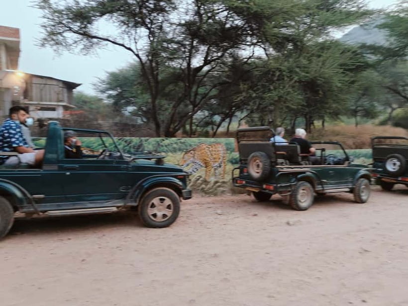 Jaipur: Jhalana Amagarh Leopard Reserve 4×4 Jeep Safari - Wildlife beyond leopards: what you can realistically spot