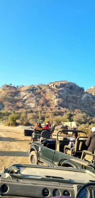 Jaipur: Jhalana Amagarh Leopard Reserve 4×4 Jeep Safari - Who this safari is for (and who should skip it)