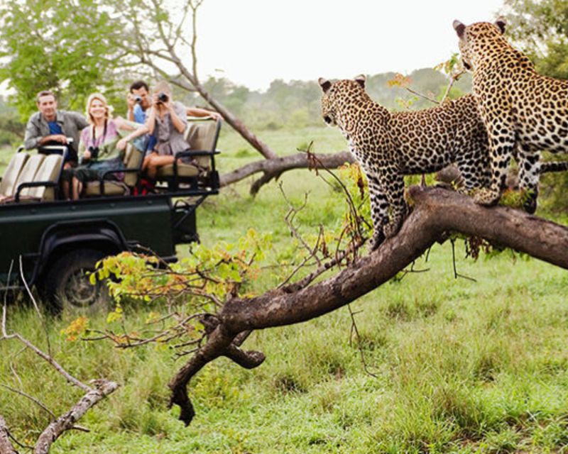 Jaipur: Jhalana/Amargarh Leopard Safari Private Tour - The 5-hour plan: pickup, safari blocks, and a realistic pace