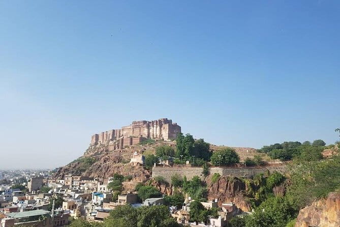 Jaipur Pink City Tour by Car or Tuk-Tuk - Lunch and the Pink City streets: color, craft, and real routines
