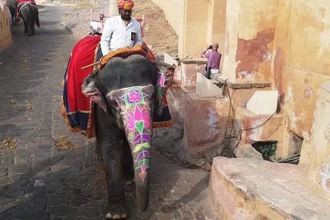 Jaipur Private City Tour By Car (All-Inclusive) - City Palace of Jaipur: 1 hour that’s meant to feel royal and practical