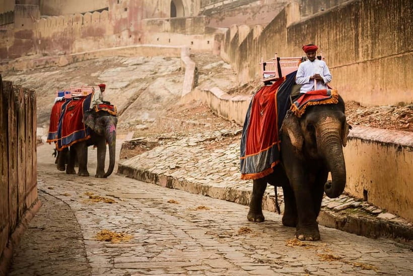 Jaipur: Private Full-Day City Tour By Tuk-Tuk with Pick-Up - How the English driver and timing shape the experience