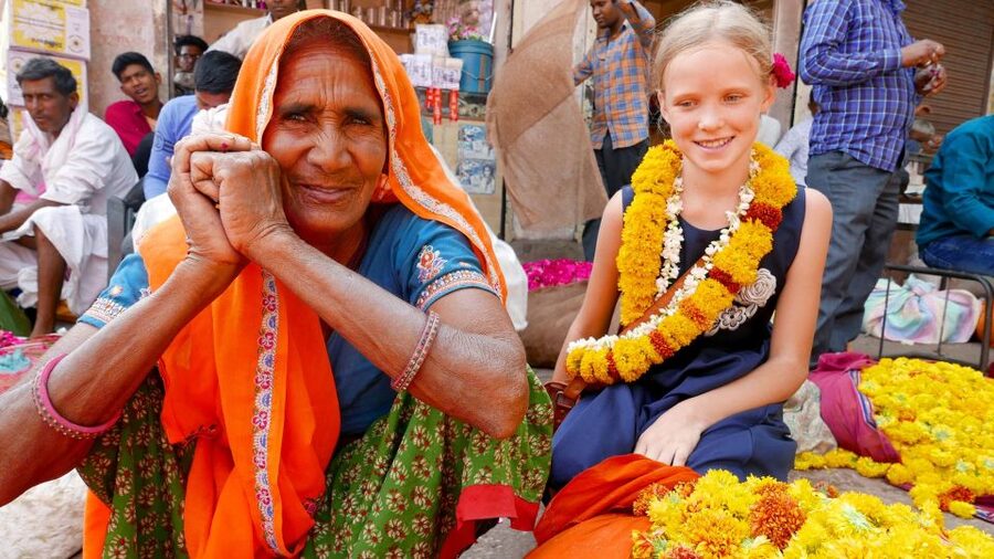 Jaipur: Private Full-Day Tour of the Heritage Pink City - Price and logistics: what $48 covers, and what you should budget for