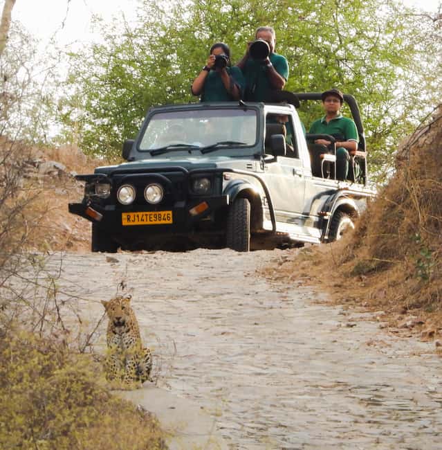 Jaipur: Private Jhalana Leopard Safari Tour - Your 2.5-hour safari in a 4x4 jeep (and how spotting really works)