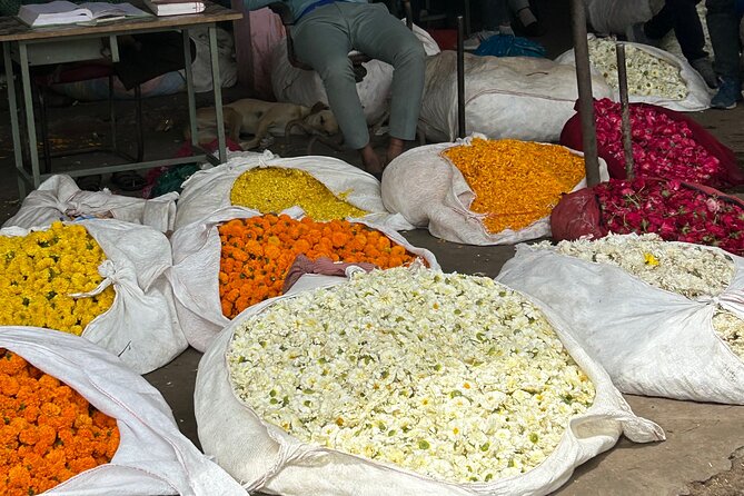 Jaipur: Shopping Tour with Blue Poetry & Printing Workshop & Rugs - From Your Hotel Into Jaipur’s Craft Zones