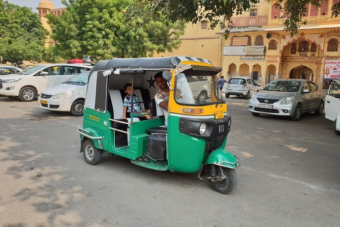 Jaipur Sightseeing by Tuk-Tuk - Jal Mahal: a quick stop with a smart payoff