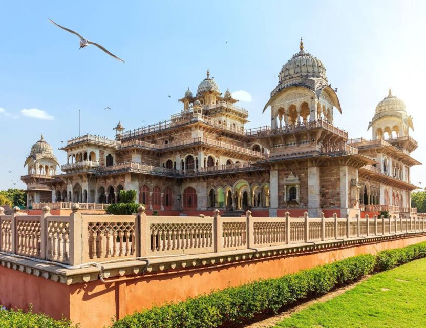 Jaipur Sightseeing by Tuk-Tuk: Temples, Palaces & Markets - Tour guide quality: why recent experiences were so positive