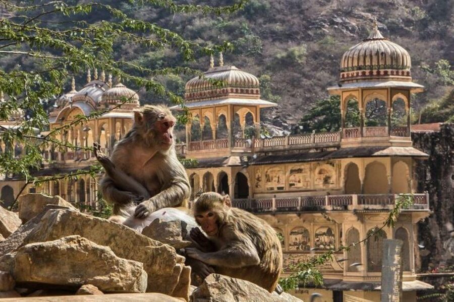 Jaipur sightseeing tour with monkey temple (Galta ji temple) - Central Jaipur: City Palace, Jantar Mantar, and Hawa Mahal close together