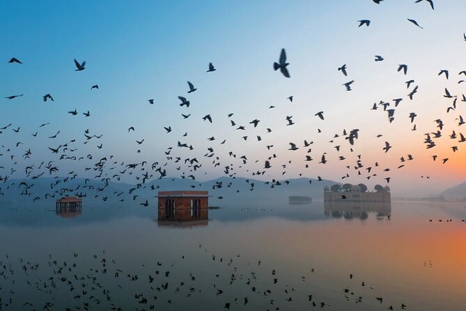 Jaipur Sunrise Tour with Morning Flower Market Walk - Jal Mahal at sunrise: a calm start with big photo energy