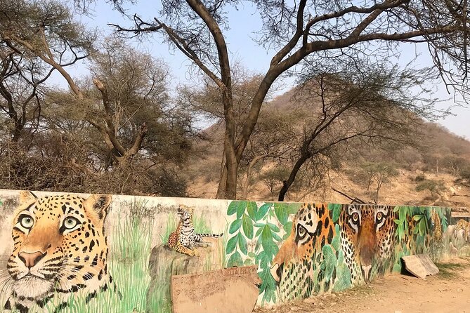 Jaipur to Jhalana Leopard reserve Private Day Trip All Inclusive - Entering Jhalana: Why This Reserve Feels Different