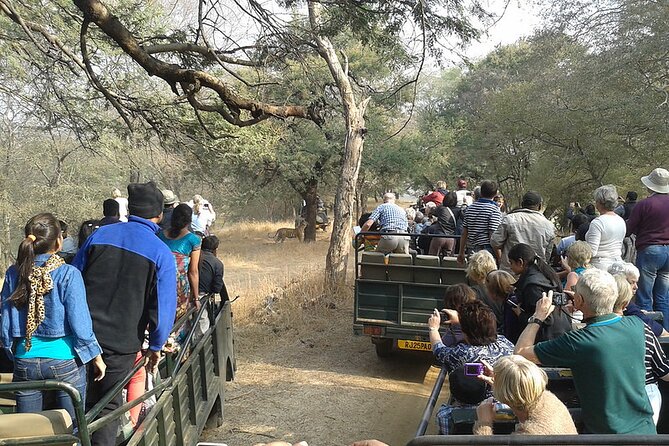 Jaipur to Ranthambore National Park Private One Day Trip - Jaipur to Ranthambore: a 200 km road day that still feels worth it