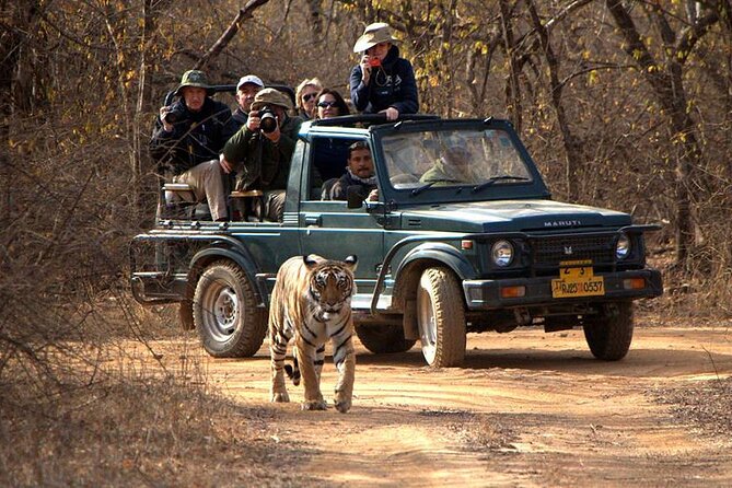 Jaipur to Ranthambore National Park Private One Day Trip - Getting into Ranthambore: identification and your gypsy assignment