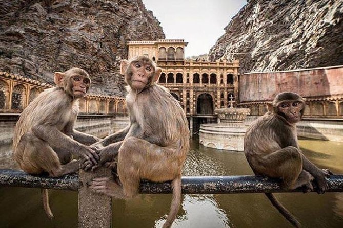 Jaipur Tour By Car & Guide - Private Full Day Sightseeing with Tickets - How the route plays out (and why that order makes sense)