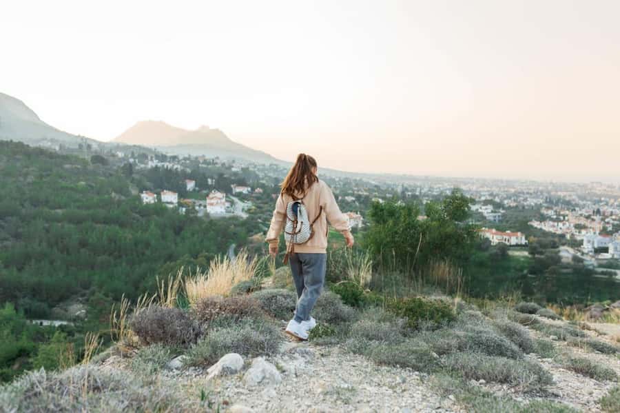 Jaipur: Tour with Nahargarh Sunrise or Monkey Temple Sunset - Hawa Mahal lights, Albert Hall exterior at night, and a Pink City drive