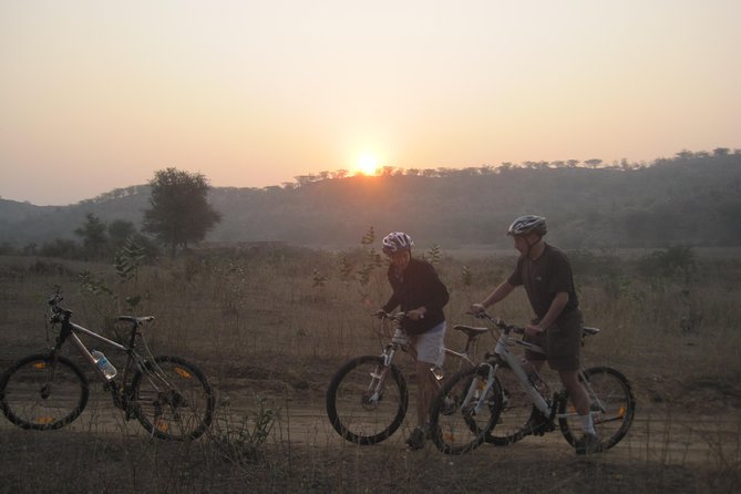 Jaipur Village Cycling Safari - The Big Reasons This Jaipur Cycling Safari Feels Worth It