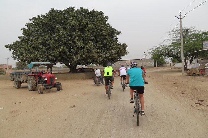 Jaipur Village Cycling Safari - Starting Point: Nahargarh Biological Park and the First Switch to Off-Road