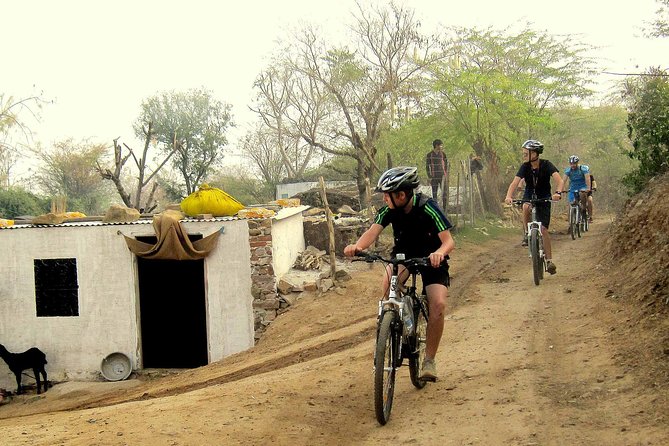 Jaipur Village Cycling Safari - The Ride Through Aravalli Hills: Dry Scenery, Mustard Fields, and Village Life