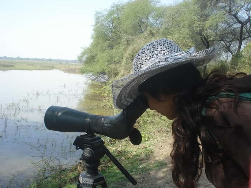 Keoladeo National Park Tickets and Guided Tour - Keoladeo in 3 Hours: What Your Ticket Sets You Up For
