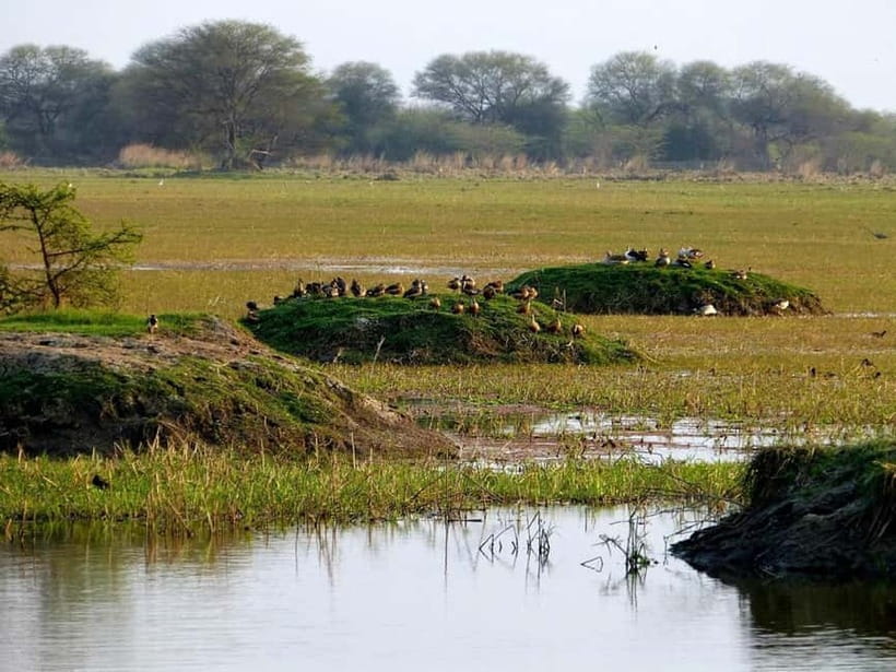 Keoladeo National Park Tickets and Guided Tour - E-Ticket Entry That Cuts the Wait