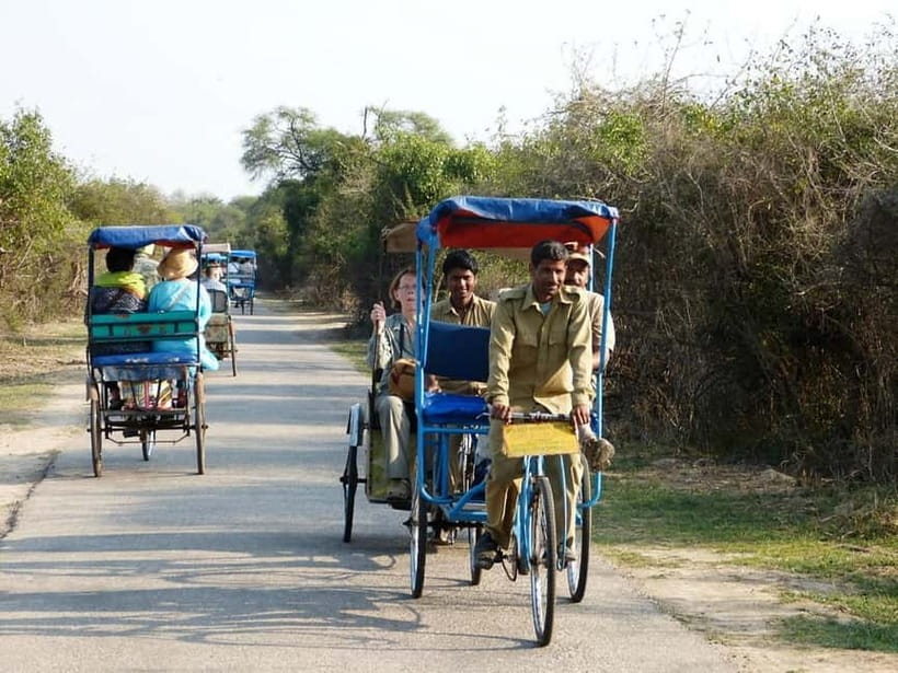 Keoladeo National Park Tickets and Guided Tour - Guided Rickshaw Tour: The Bird-Watching Route You Don’t Have to Guess