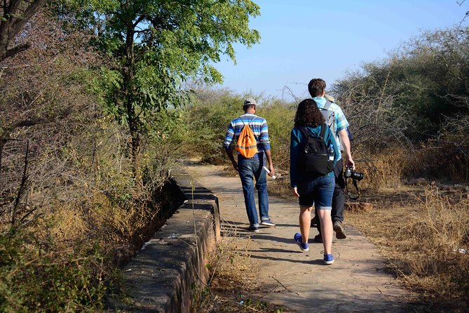 Nahargarh Water Walk - Guided 2-Hour Heritage Tour in Jaipur - A 1 km loop of aqueducts and stepwells (and what each one tells you)