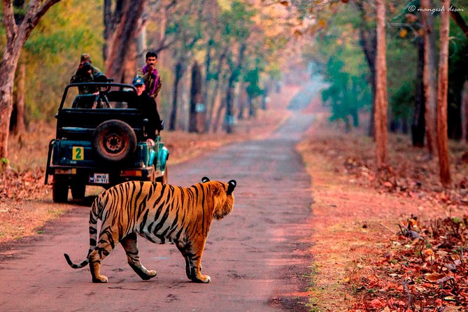 One Way Transfer Jaipur to Sawai Madhopur Hotels In AC Vehicle - The 3-Hour AC Ride: Comfort You Can Actually Use