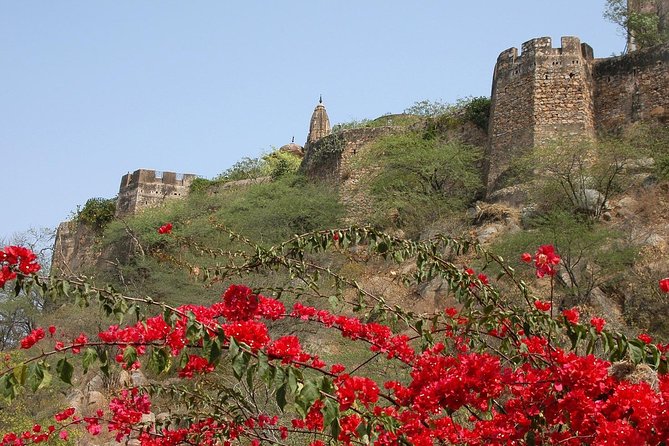 Private 6 Hours: Jaipur Temples Tour - Key highlights worth your time