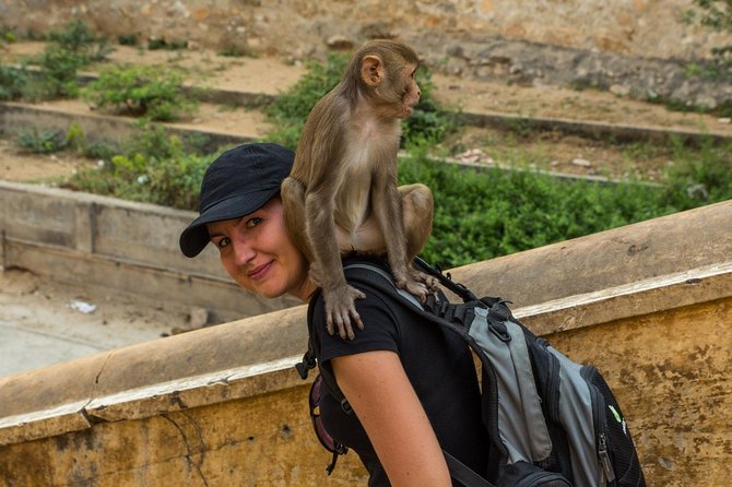 Private 6 Hours: Jaipur Temples Tour - A Jaipur temples tour that actually fits a day