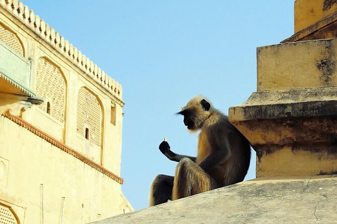 Private Day Tour of Jaipur with a Guide and Including Lunch - City Palace: Rajput and Mughal mix inside the courtyards