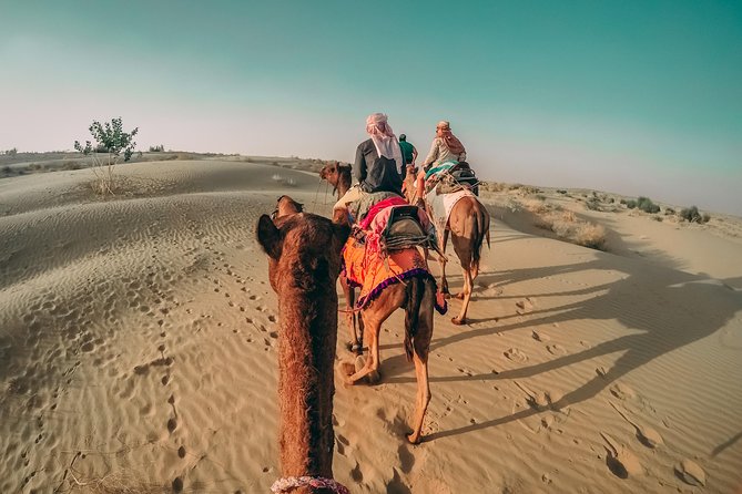 Private day tour pushker - How This Private Pushkar Day Trip Works From Jaipur Airport