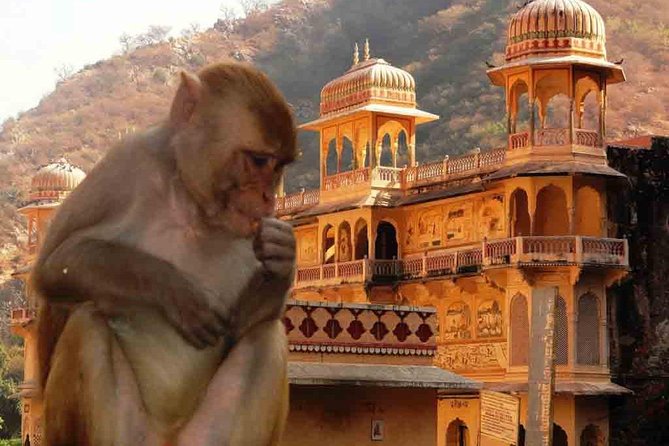 Private Day Trip to Abhaneri Stepwell & Monkey Temple from Jaipur - Why this Abhaneri and Jaipur combo works so well