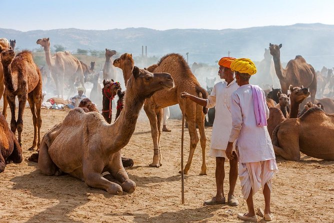 Private Day Trip to Ajmer and Pushkar from Jaipur - Shree Savitri Mata Mandir: 650 Steps and the Best View Payoff