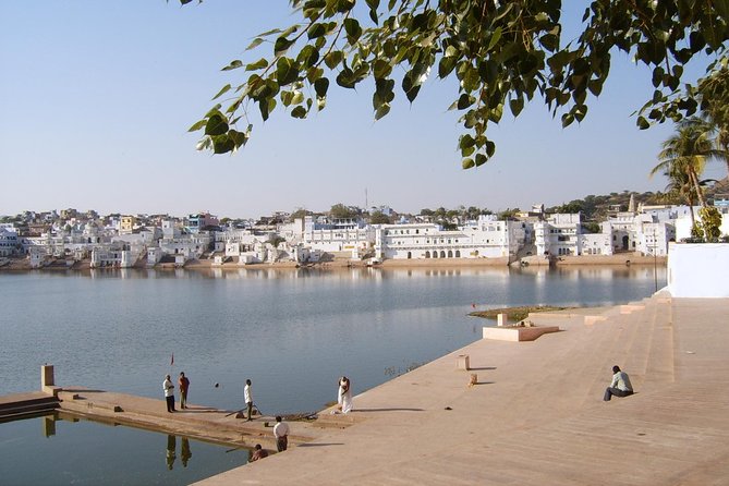 Private Day Trip to Ajmer and Pushkar from Jaipur - Price Check: Does $84 Make Sense for a Private Day Trip?