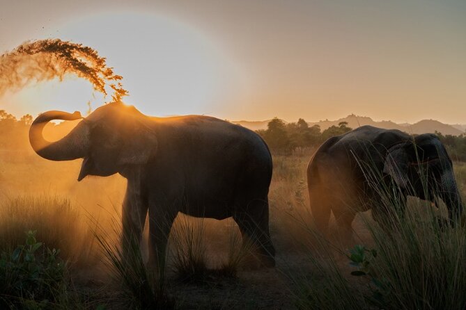 Private Elephant Sanctuary - Key highlights you’ll actually feel