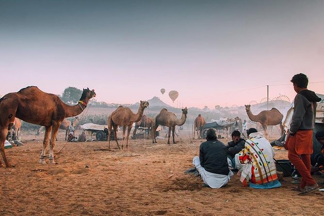 Private Full Day Jaipur Sightseeing Tour By Tuk-Tuk (Rickshaw) - Jaipur by tuk-tuk: why this style of sightseeing works
