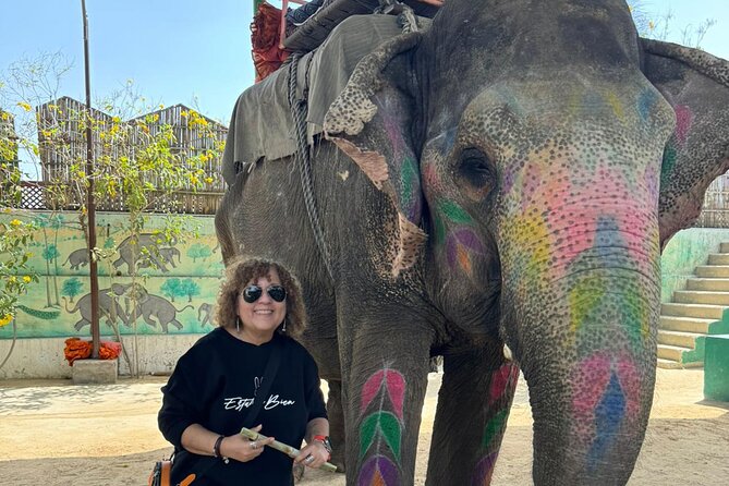 Private Jaipur Day Tour with Driver and Guide- All Inclusive - Key highlights at a glance