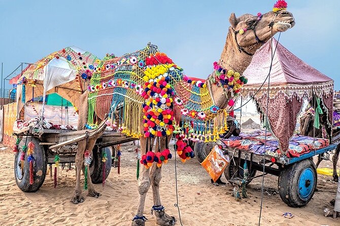 Private Same Day Trip to Pushkar from Jaipur - Why Pushkar Works as a Same-Day Trip From Jaipur