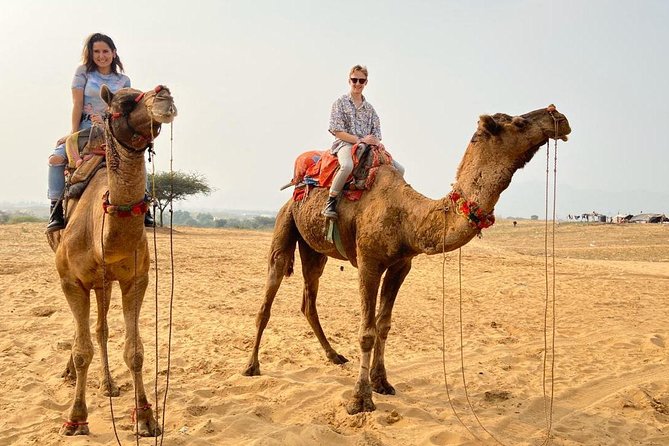 Pushkar Day Trip from Jaipur – Private Car, Safari, Guide & Lunch - Leaving Jaipur: the Private Drive That Sets the Tone
